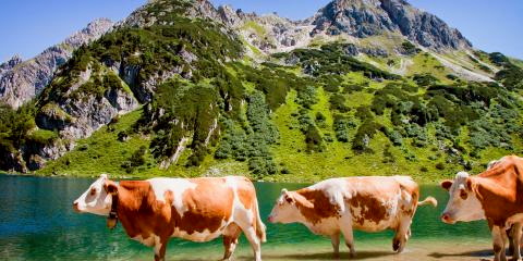 Titelbild für Flachau – Traumhafte Natur im Salzburger Land