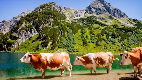Titelbild für Flachau – Traumhafte Natur im Salzburger Land
